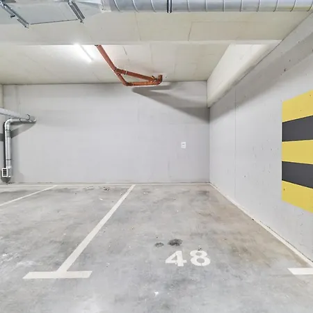 Deluxe Studio Braniborska Near Market Square -with Free Garage By Renters Vratislav